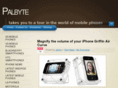 palbyte.com