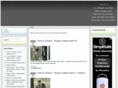 beattheboguscaller.com