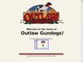 outlawgundogs.com