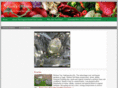 raisedveggiebed.com