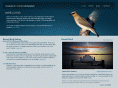 clearfocusdesigns.com