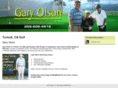 garyolsongolfinstruction.com