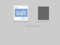 thesaltgallery.co.uk