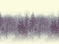inwinter.net