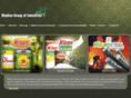madinagroup.com