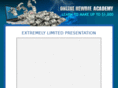 onlinenewbieacademy.com