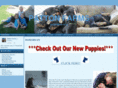 pattonfarmsdobermans.com