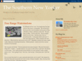 thesouthernnewyorker.com