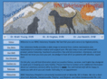 wncveterinaryhospital.com