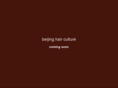 beijing-hc.com
