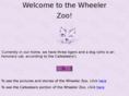 catkateer.com