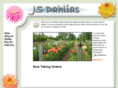 jsdahlias.com