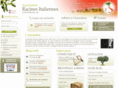 racinesitaliennes.org