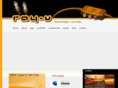 ray-v.com