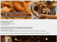 augusto-tozzola.com