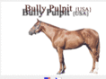 bullypulpit-stallion.com