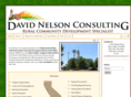 davidnelsonconsulting.com