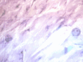 dulcinearomao.com