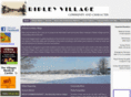 ripleyvillage.com