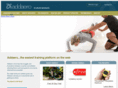 addaero.com