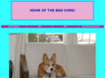badcorgi.com