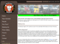 mtscca.com