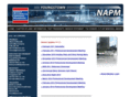 napmyoungstown.com