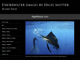 nigelmotyer.com