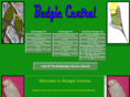 bluebudgerigar.com