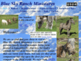 blueskyranchminis.com