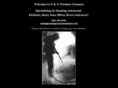 nandgpressurecleaners.com