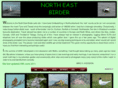 northeastbirder.co.uk