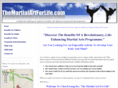 themartialartforlife.com