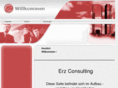 erz-consulting.com