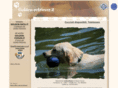 golden-retriever.it