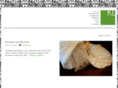 klimagery.com