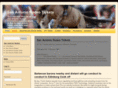sanantoniorodeotickets.com