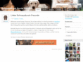 schnauzbook.net