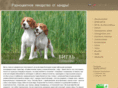 beagle-club.ru