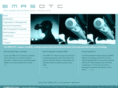 emrsdtc.com