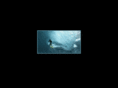 lightsurfer.com