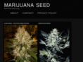 marijuana-seed.org