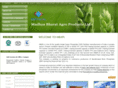 mbapl.com
