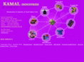 kamalinds.com