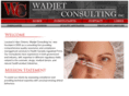 wadjetconsulting.com
