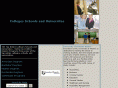 collegesschoolsanduniversities.com