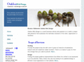 oakleawebdesign.com