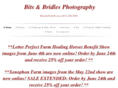 bitsandbridlesphotography.com