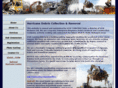 debris-removal.net