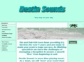 destinsounds.com